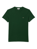 LACOSTE Cotton Pima T-shirt Pine Green - MAISONDEFASHION.COM