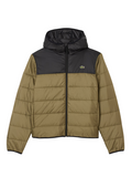 LACOSTE Water-Repellent Quilted Puffed Jacket in Green - front view showing full jacket with quilted pattern and LACOSTE branding