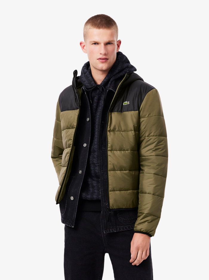 LACOSTE Green Quilted Puffed Jacket - back view displaying the jacket's silhouette and quilted texture detail