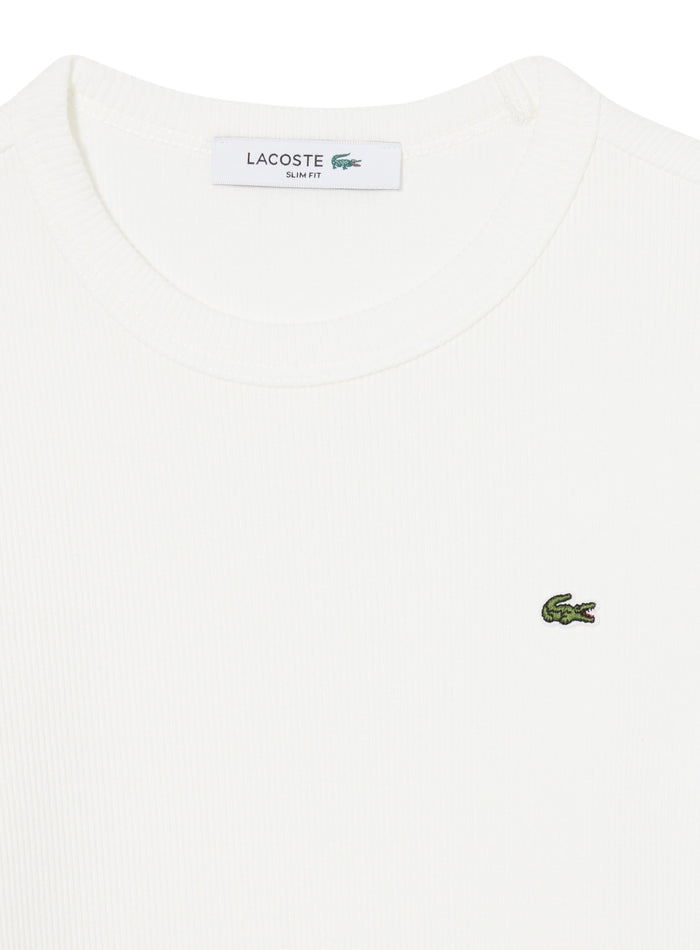 LACOSTE WOMEN Slim Fit Ribbed Cotton T-shirt White - MAISONDEFASHION.COM