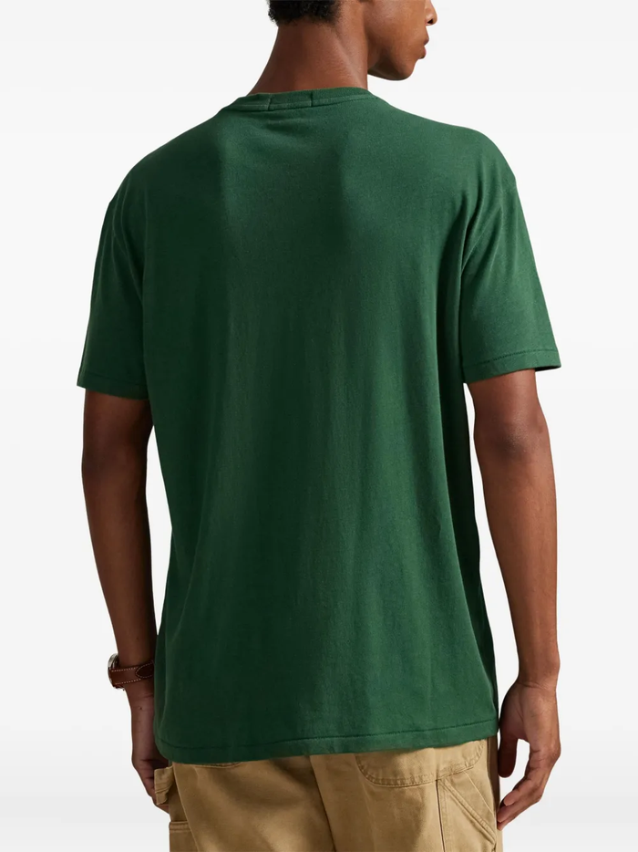 RALPH LAUREN Classic Fit Jersey Graphic T-Shirt Grass Green