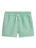 RALPH LAUREN KIDS Boys Embroidered-motif Swim Shorts Green